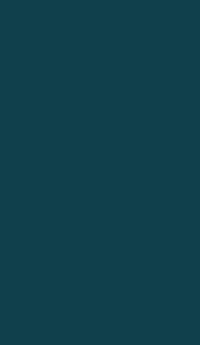 단색 9895